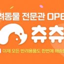 펫츄츄 이미지