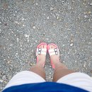 강사랑펜션 이미지