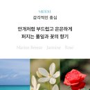 청명태권도장 | 퓨어파이브 현대백화점 충청점 팝업 후기_🧴살냄새 향수 추천부터 디퓨저 선물까지 pure5