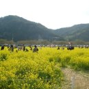 청산도느림보마을 이미지