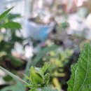 동시랑 그림책으로 놀기 이미지