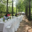 원대 수목원 이미지