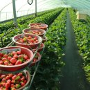 상평농장 이미지