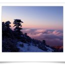 동화세탁소 이미지