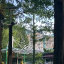 (주)골드오션 | 숙소] 비발디파크 소노펠리체 골드스위트 파크뷰/ 클린 후기 왔숨다 ~ 🛌🏼 (실버스위트 vs 골드스위트 비교)