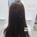 디(D). 어울 헤어 네이버블로그