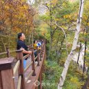 좌구산휴양랜드 이미지