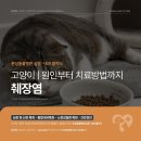심동물병원