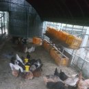 태웅농장 이미지