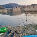 힘쎈수달 이미지