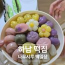 미사강변 동로 | 미사 떡집 나무시루 백일상 후기