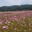 (주)코스모스 이미지