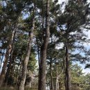 행운기사님식당 | 제주 미니버스 투어 친구들과 제주 단체여행 이용 후기