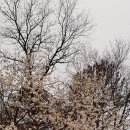 광주현대농장 이미지