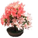 논현 공인중개사사무소 이미지