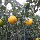 김상범 농장 이미지