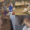 이광희 농장 이미지