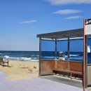 정류장 | 강원도 강릉 주문진 해수욕장 BTS 버스정류장 방문 후기