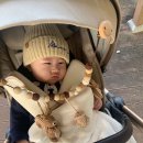 화천체육관 이미지