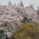 김정연헤어쇼 | 240415