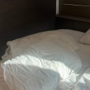 락노래타운 | 뉴욕 여행 - 250408 화요일 | 7일차 써밋, 스텀프타운 커피, 브루클린 브릿지, 덤보, 탑오브더락