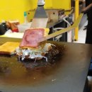 가음정대상가 이미지