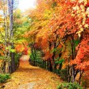 밸리댄스(야간) 이미지