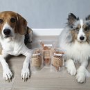 강아지와 고양이의 구멍가게 이미지