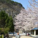 팔공산..부인사.. 제2석굴암까지.. (070407-2) 이미지