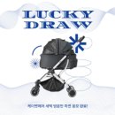 럭키켄넬 이미지