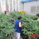 옥수동주민센터 이미지