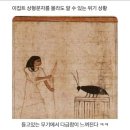 11500-16-04-50 | 04. 욕이 늘었다