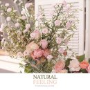 한소망교회 앞 이미지