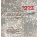 상지초등학교(병설) | 플라워에세이/월간플로라12월호/빨간동백꽃에서 나를 만납니다/캐서린원예치료