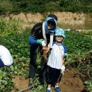 푸름농장 이미지