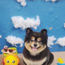 보리미용실 이미지