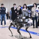 피씨오텍 이미지