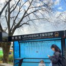 호텔정관루별관(게스트하우스) | 남이섬 단풍여행 남이섬 호텔 정관루 1박 후기