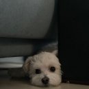 (주)조하 이미지