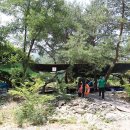 첫물내기야영장 이미지