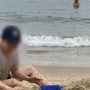 송도해수욕장 이미지