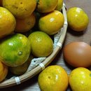 3주공세탁소 이미지