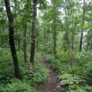 청태산 자연속으로 이미지