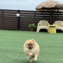 뽀아 하우스 이미지