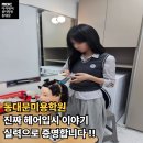 헤어미용기능사(자격증과정 / 주간) | 동대문미용학원 진짜 헤어입시 이야기 실력으로 증명합니다 !!