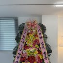 씨유 장기마스터비즈점 | 20대의 끝자락, 뉴질랜드