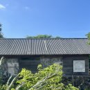 셀러리 | [제주] 구좌 세화 자쿠지 숙소, 셀러리제주 후기