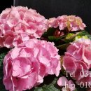 상록행정사사무소 이미지