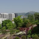 꽃사슴 경로당 네이버블로그