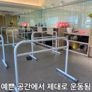창동회센타 | 창동바레 바레비타 그룹운동 분위기 리얼체험